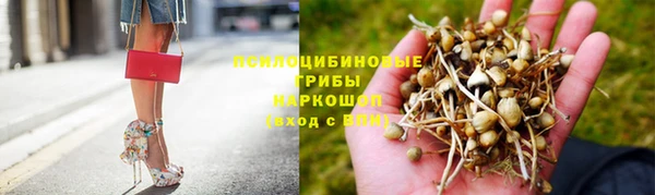 jwh Верея