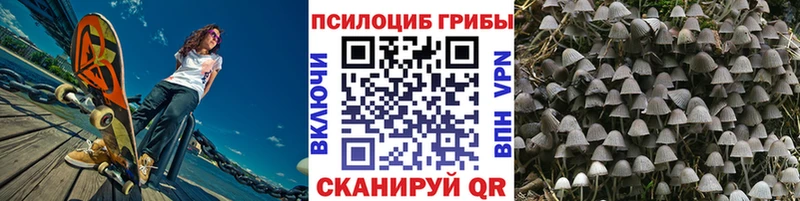 Псилоцибиновые грибы мицелий  Симферополь 